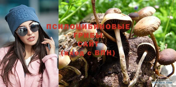 винт Медвежьегорск