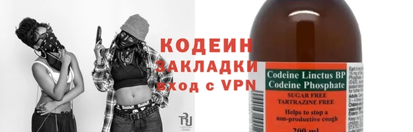 крисы Киренск