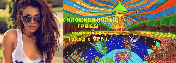 винт Медвежьегорск