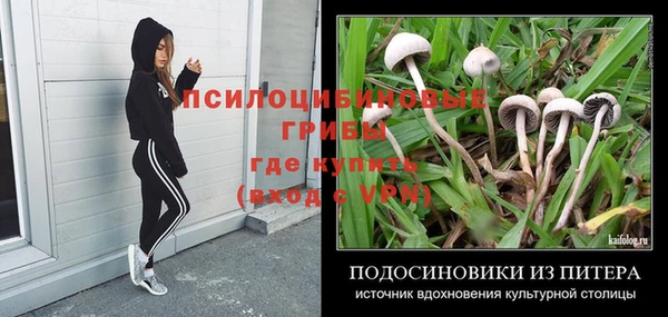винт Медвежьегорск