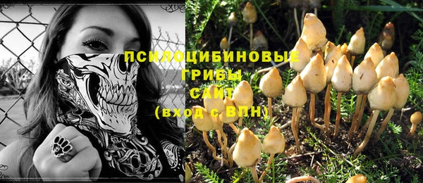 винт Медвежьегорск