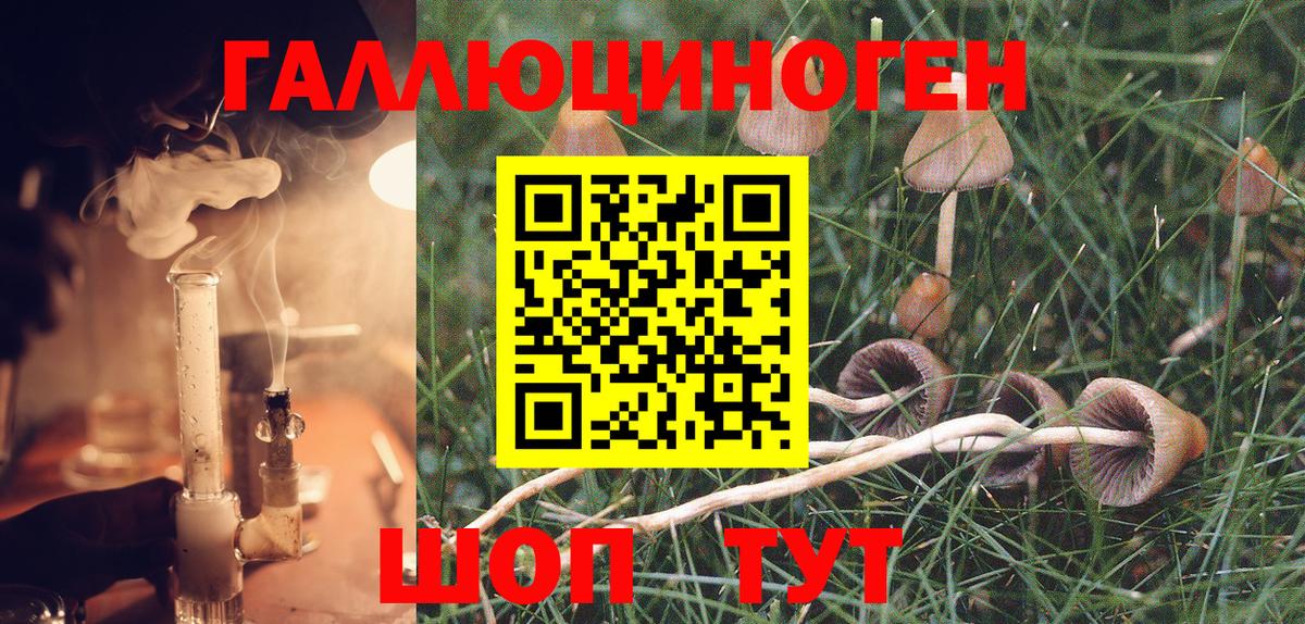 закладки  Луховицы  Галлюциногенные грибы Psilocybine cubensis  Псилоцибиновые грибы прущие грибы 
