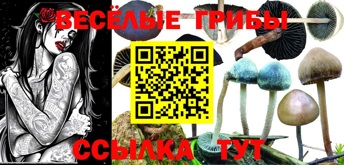Псилоцибиновые грибы GOLDEN TEACHER Луховицы
