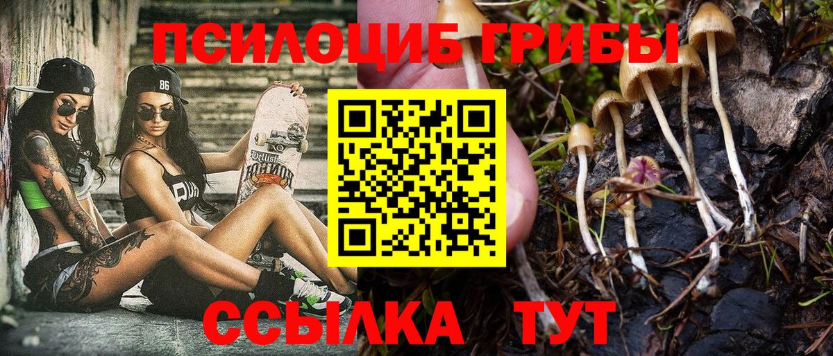 Луховицы  цена наркотик  Вход с VPN  Псилоцибиновые грибы мицелий 